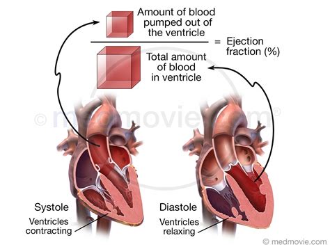 systolic ejection fraction.